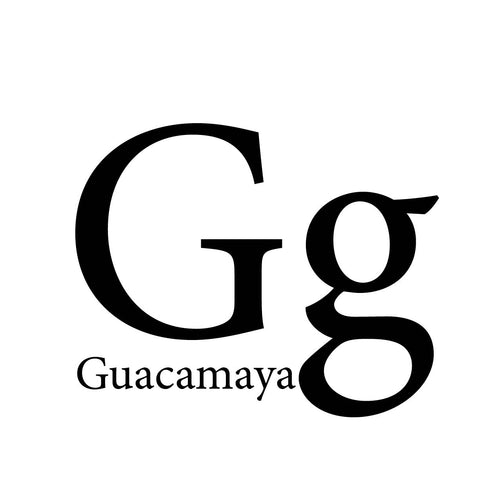 Mi Primer Abecedario Venezolano. Mi Pequeño Tricolor (Spanish Edition)