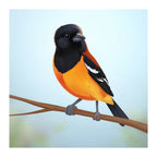 Mi Primer Abecedario Venezolano. Mi Pequeño Tricolor (Spanish Edition)